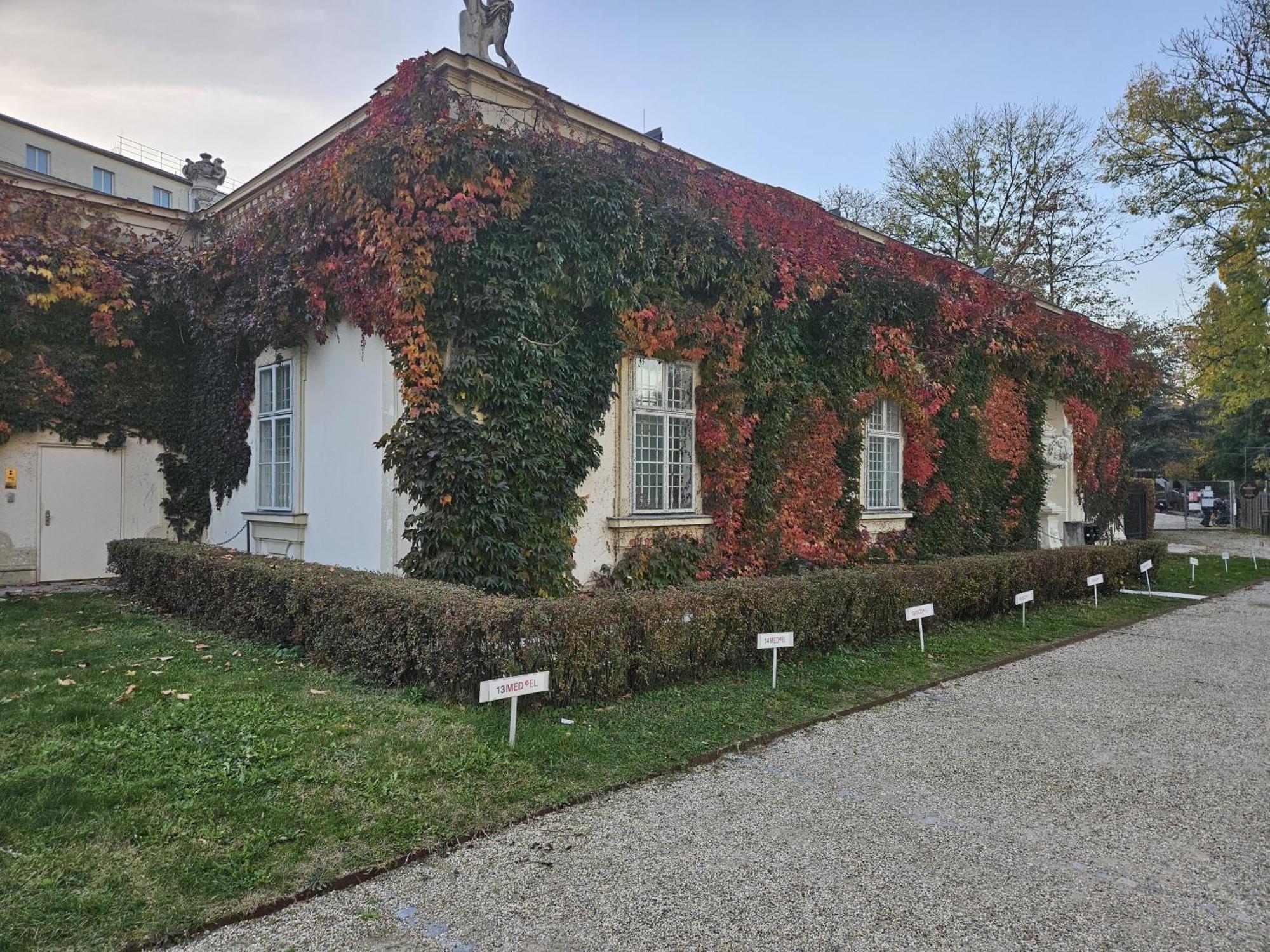 Mauthaus Lichtenstein Bécs Kültér fotó
